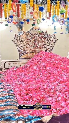 8th Urse Huzoor Tajushshariah Status | Huzoor Tajushshariya Status | Tajushariya Status 2026