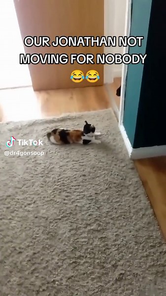 Funny Pranks with Jonathan | Hilarious Plans and Karate Lessons