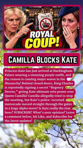 ROYAL CRISIS: Queen Camilla Tried To Block Kate Middleton From The Palace!