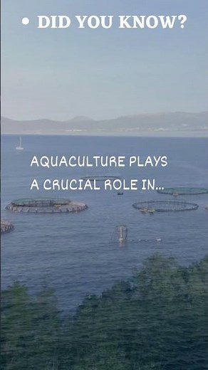 Unlocking the Vital Role of Aquaculture in Global Food Security 🌊🐟 | Sustainable Seafood Farming