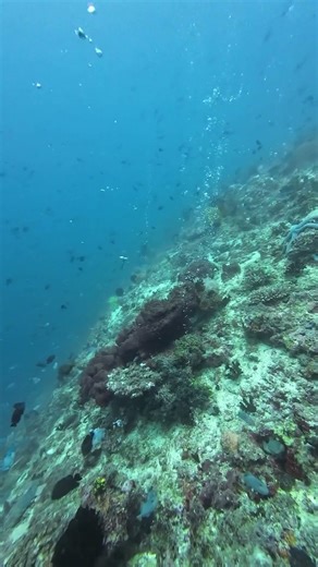 Gas bubbles seep through the seabed.