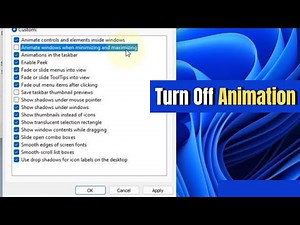How to Turn Off Animation in Windows 11 (Speed Up Your PC)