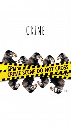 How to Count Crows Effectively