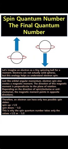 E21 Spin: the last quantum number #science#physics#chemistry#physicalchemistry#quantum#electron