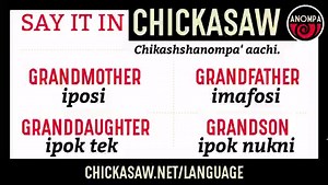 3.7K views · 151 reactions | Today, we recognize the many Chickasaw grandparents who continue to pass on Chickasaw culture, language, history and traditions to the next generation. The next time you visit with your imafo'si' (grandfather) or iposi (grandmother), use these words to identify the family around you. #NationalGrandparentsDay | #ChickasawLanguage | The Chickasaw Nation | Facebook