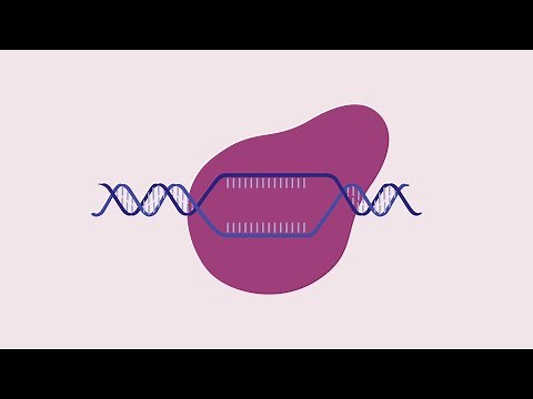Gene Editing