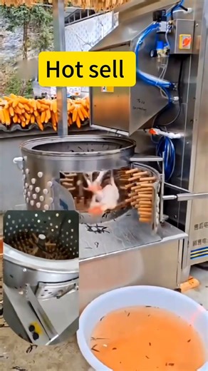Automatic Chicken Plucker