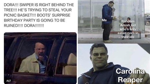 14 Oddly Hilarious Memes That Really Shouldn't Be So Funny