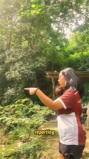 12 P-WES: GGV In this video, we explore what P-WES means to us, showcasing examples from Nueva Vizcaya and discussing how to sustain this service. Our approach is all about freestyling, encouraging open dialogue. We aim to engage the viewers with a blend of nostalgia, comedic elements, and a TV show vibe. We've chosen copy-right free iconic classical music to complement the atmosphere and draw inspiration from recent trends in a positive and humorous way. | UPLB-Interdisciplinary Studies Center 