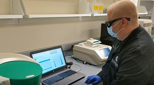 MSU researchers develop COVID surveillance program using spit test kits