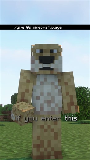 4 Hidden Minecraft Commands You Need to Know