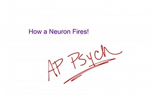 Action Potential | Educreations