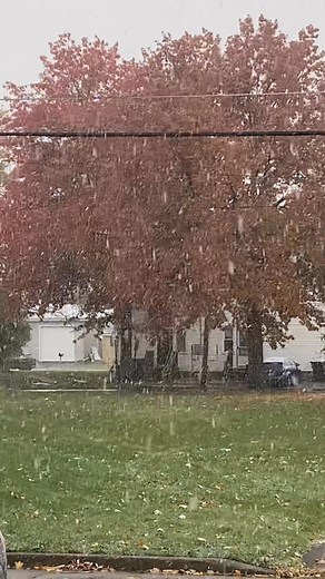 Annette Smith on Reels | Facebook