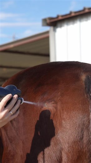 𝑾𝒉𝒚 𝑪𝒓𝒚𝒐𝒕𝒉𝒆𝒓𝒂𝒑𝒚 𝑰𝒔 𝑫𝒊𝒇𝒇𝒆𝒓𝒆𝒏𝒕 𝑻𝒉𝒂𝒏 𝑰𝒄𝒆 𝑩𝒐𝒐𝒕𝒔 ❄️ Ice boots are familiar and convenient, but cryotherapy works on a different level. The biggest difference is control, consistency, and precision. Ice boots rely on melting ice and compression. They warm up quickly, cool unevenly, and treat everything the same whether it needs it or not. Cryotherapy delivers a steady, controlled cold that stays consistent for the entire session and can be directed exactly where it