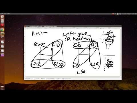 Quick Parks 3-Step Test Diagram