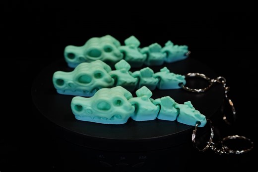 Articulated Dinosaur Keychain | 3D Printed Dino Skeleton | Backpack Charm Gift - Etsy