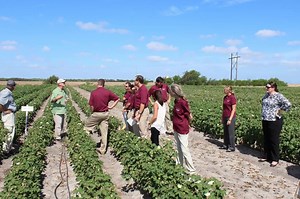 2K views · 39 reactions | What is Extension? AgriLife Extension provides programs, tools, and resources - local and statewide - that teach people how to improve agriculture and food production, advance health practices, protect the environment, strengthen our communities, and enrich youth. | Texas A&M AgriLife Extension Service | Facebook