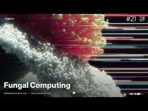 Fungal Computing with Mushrooms