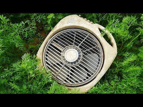 Reviving an Old, Rusty Desk Fan: A Step-by-Step Restoration Guide