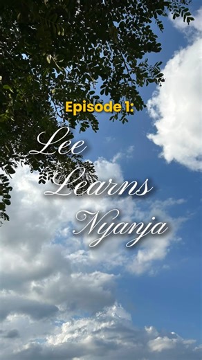 LEE on Instagram: "Lee Learns Nyanja Episode One: The Basics ☁️ Every time I open my mouth to speak vernacular, someone laughs at my pronunciations so I feel shy. 🤣 This is slowing down the progress because it’s very embarrazzzing. How did I do? Let me know which phrases to use in the next episode! #zambia #zambians #zambia🇿🇲 #zambiarelatable #nyanja #africa #explore #lusaka #reels #explorepage"