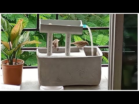 Amazing bird fountain DIY | DIY homemade bird feeder