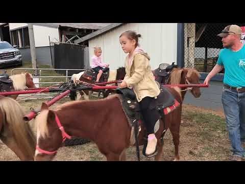 Pony rides at fair