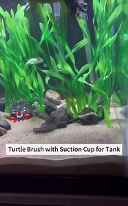 Amazon.com : 4 Pack Turtle Brush - Turtle Shell Cleaning Brush with Suction Cup for Tank Remove Aquatic Mud Dirt Tortoises Back Scratches Brush Promoting Shell Health for Red Eared Slider Turtle (4 Pack) : Pet Supplies