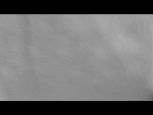 Supertask x Seeded Vision - Migration