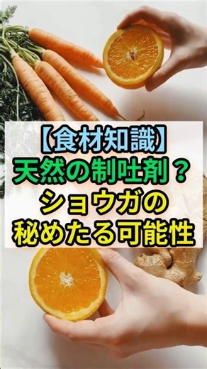 食材知識、天然の制吐剤、ショウガの秘めたる可能性