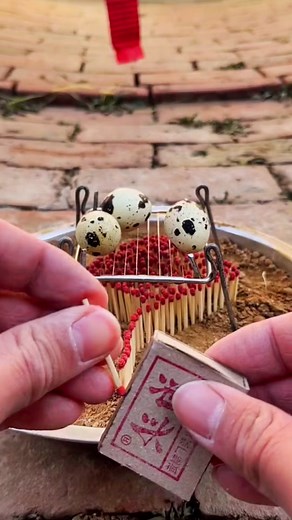 Creative Outdoor Egg Grill Firework Setup