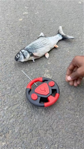Asli Rc Fish Remote Control Fish Unboxing 😊