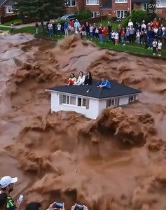 #people #whattowatch #facts #fyb #theworldfacto #foruyou #tik_tok #explore #idea #man #women #short #reelschallenge | Fact World