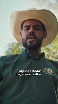 The evolution of the Brazilian lockdown, in numbers.