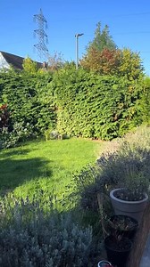 30K views · 193 reactions | Je vous explique comment estimer facilement une taille de haie : longueur, hauteur, accès, gestion des déchets… Tout ce qu’il faut savoir pour facturer au juste prix ! #jardinage #tailledehaie #conseilspro #facturation #paysagiste | Steve Le Jardinier | Facebook