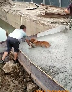 7.5M views · 8.5K reactions | Awesome construction site work!!..朗☺️ | Mr.seed Muzik | Facebook