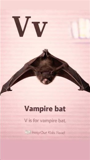 The Alphabet ✨️ 📚 🔠 #education #learning #lovereading #booksopendoors #ReadToYourChild