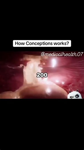 Bio_medicine on Instagram: "Conception is the moment when life begins- when a sperm and egg meet and form a new human blueprint. Here’s what actually happens inside the body: Every month, the ovaries release one mature egg during ovulation. This egg travels into the fallopian tube and survives for about 12–24 hours. When intercourse happens during this fertile window, millions of sperm enter the vagina, but only a few hundred reach the fallopian tube — and only one wins the race. The strongest s