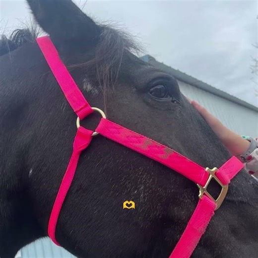 The Power of Perseverance: Why You MUST Keep Going