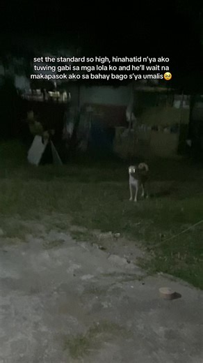 big boy na talaga ang Achuchu ko🥹 #aspin #dogslove #furbabies #aspinsoftiktok #happyheart