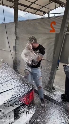 6.1K views · 17 reactions | Velvet Flutter: Calm Flaps Once | Ava's Life Adventures | Facebook