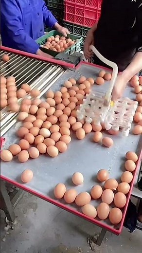 الأدوات والآلات الجيدة تجعل العمل أسهل.