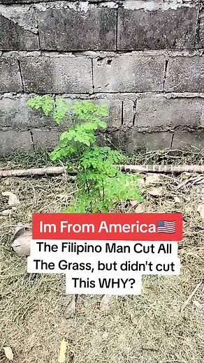 funny stuff in Philippines 🇵🇭 #malunggay #filipinofood #karenspotted #maritesspotted #philippinesculture #filipinoculture #filipinotradition #philippines #philippinesnews #provincelife #afam #pinayandafam #filipinasapuso #filipinofoods #filipinomoms #filipinotiktok #iloilocity #travelphilippines #pinayandamericancouple🥰💞 #filipinorelatable #filipinopride #pinaypower #livinginthephilippines #mindanao #mindanaotiktoker #cebucity #cebuana #cebuano #luzon #luzontiktokers #manila #manilaphilippin