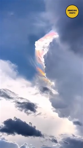 133K views · 7.3K reactions | Is that a rainbow hiding in a cloud? #education #explore #knowledge #explorepage #research | Amazing Facts | Facebook