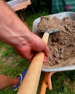 13K views · 139 reactions | Guía paso a paso para construir un invernadero en tu jardín | Házlo tú mismo | Facebook