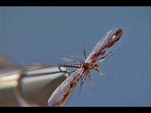 Deer Hair Spinner fly tying video instructions by Shane Stalcup