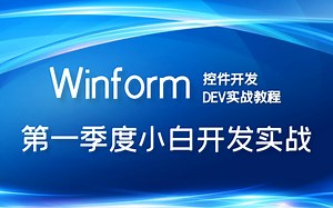 2023年最新Dev控件全解教程 已完结 DevExpress/C#/Winform合集/零基础入门到精通 B0662