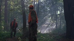 2004-Boa vs. Python[VO]