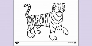 Print Tiger Colouring Page