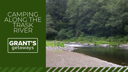 Explore the often overlooked beauty of the Trask River in the Oregon Coast Range
