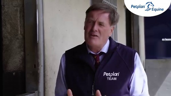 1.6K views · 44 reactions |  A resting horse with no health issues...